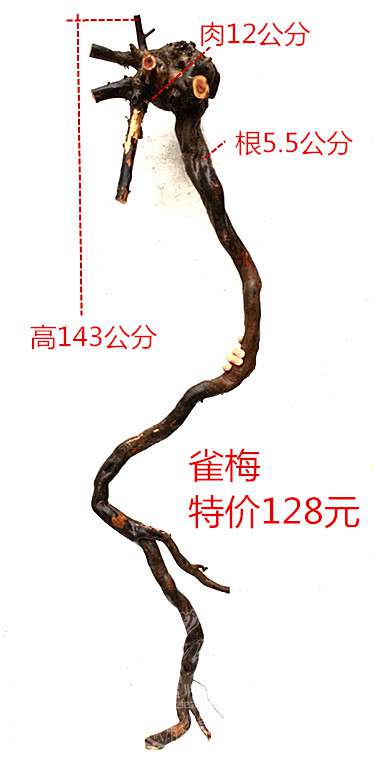 1_.jpg