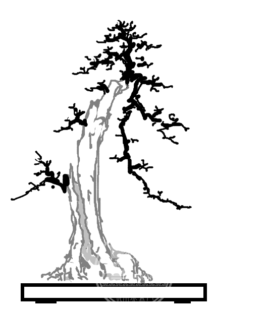 QQͼƬ20171201231936.png