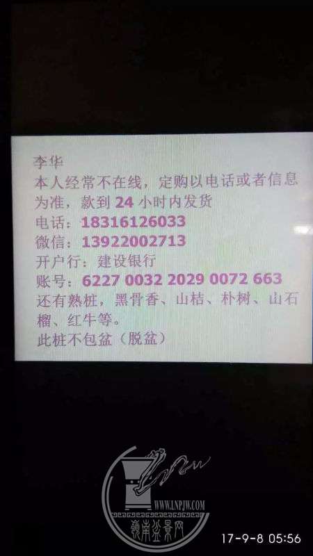 913364