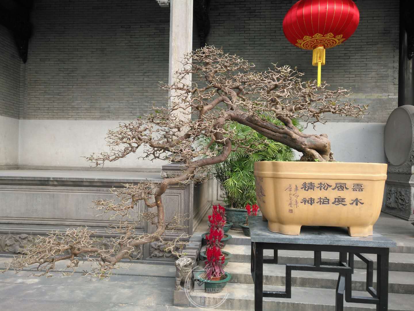 1064444573.jpg