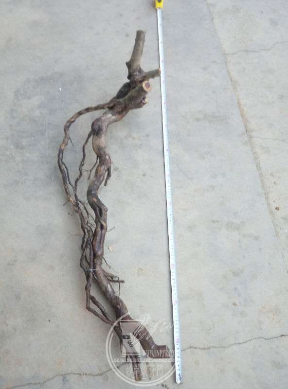 915170
