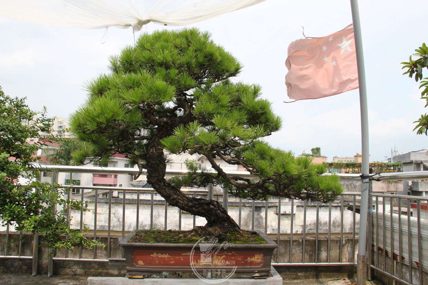 ڼҾ̨辰IMG_0462.jpg