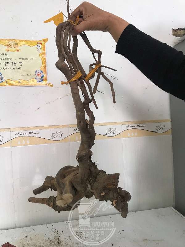 916336