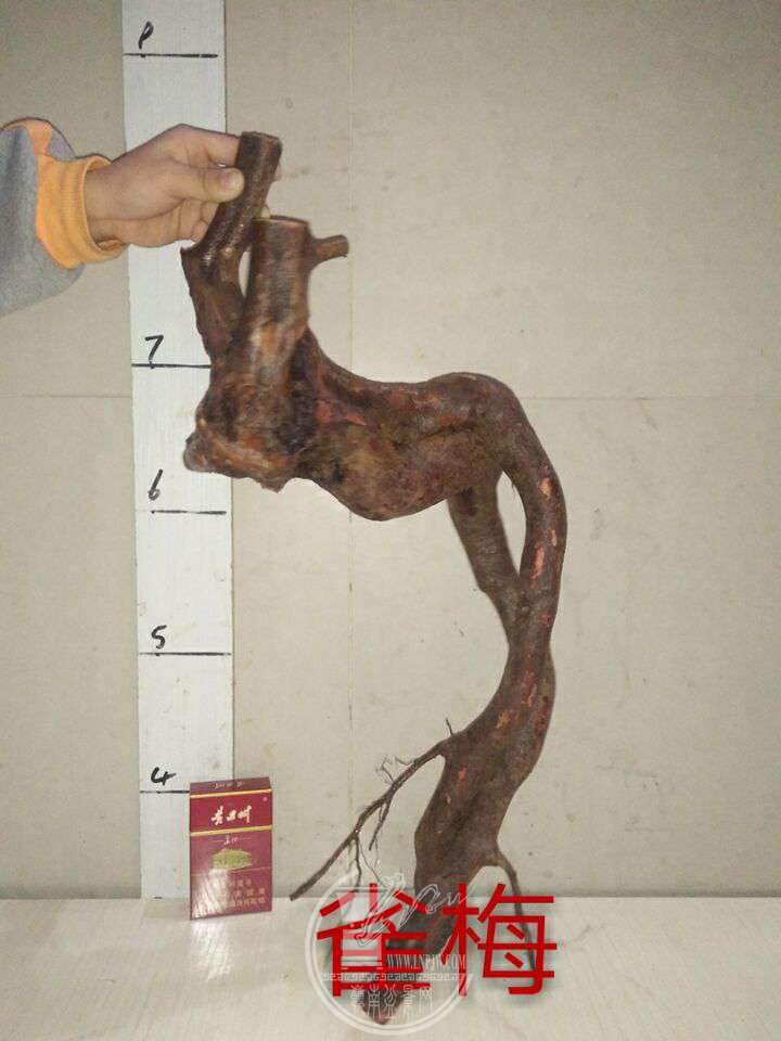 QQͼƬ20171228203700.jpg