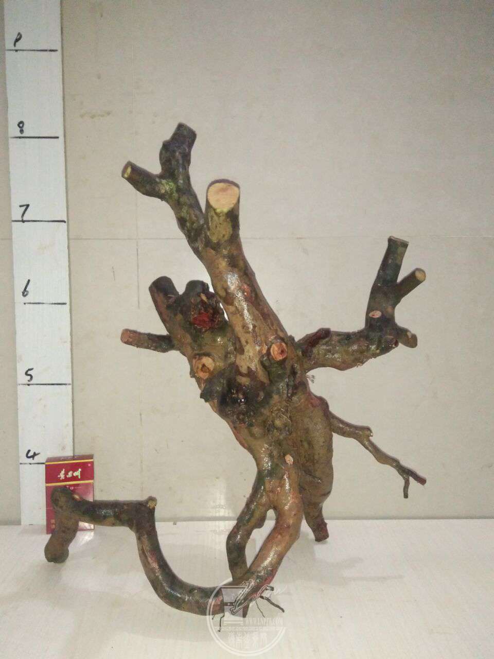 QQͼƬ20171228203753.jpg