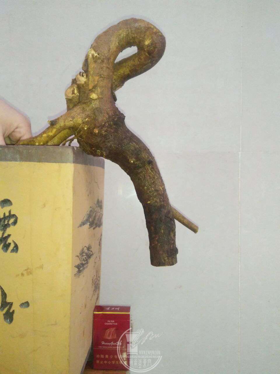 QQͼƬ20171229202841.jpg