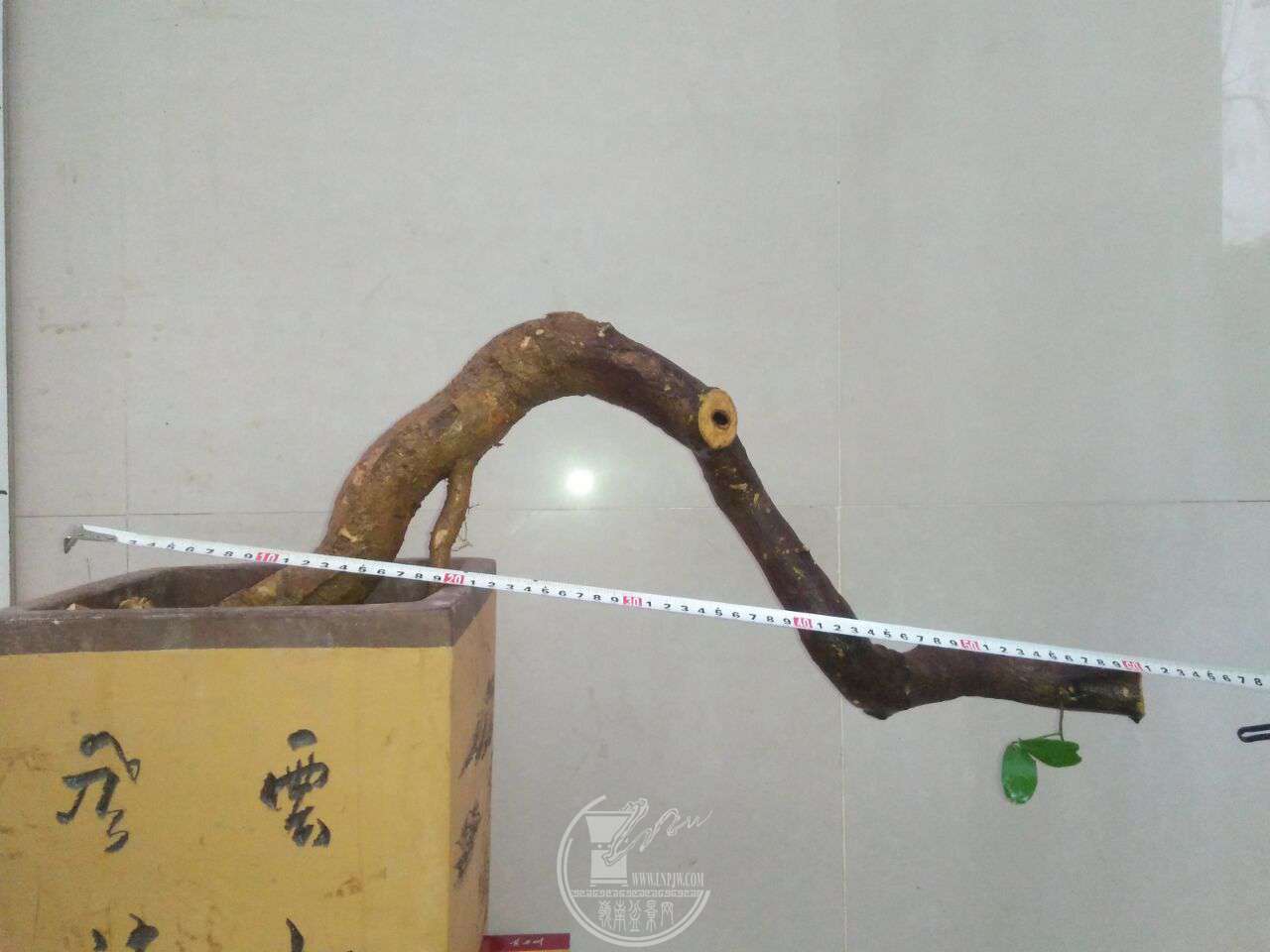 QQͼƬ20171229202619.jpg