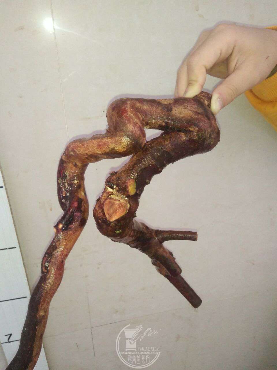QQͼƬ20171229202733.jpg