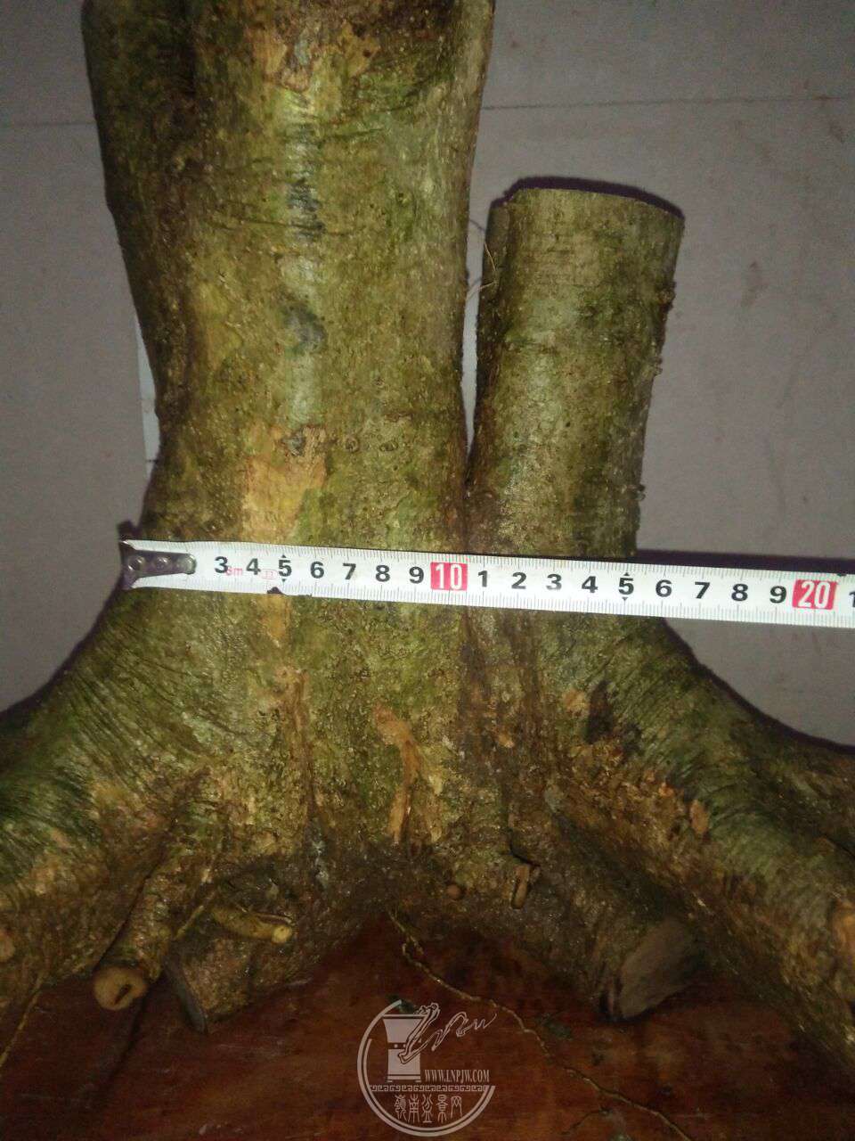 QQͼƬ20171230215651.jpg