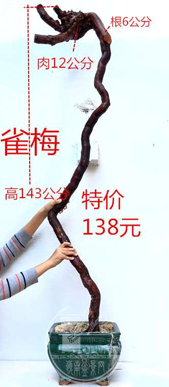 8_.jpg