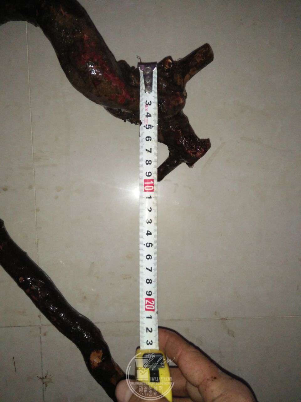 QQͼƬ20171231210856.jpg