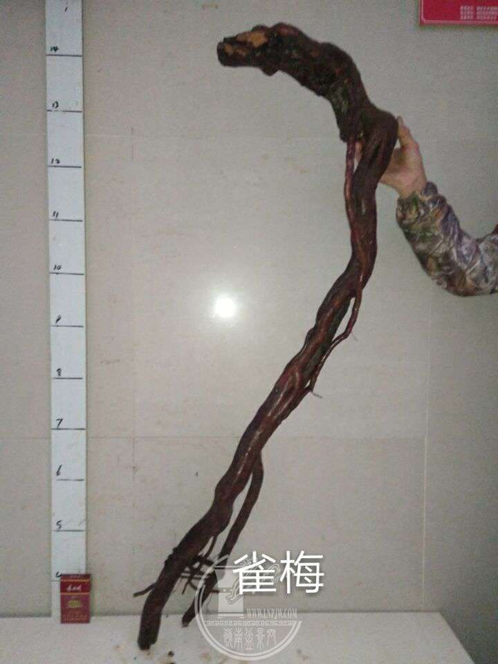 QQͼƬ20180104210505.jpg