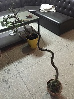 ΢ͼƬ_20180108130341.jpg