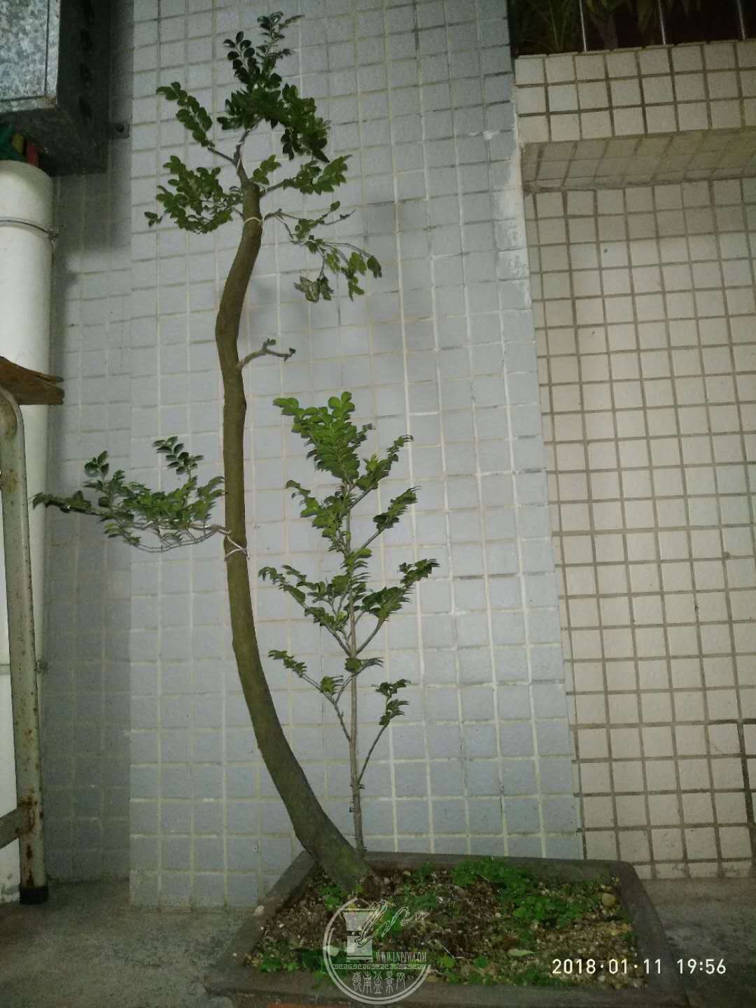 ΢ͼƬ_20180111200954.jpg