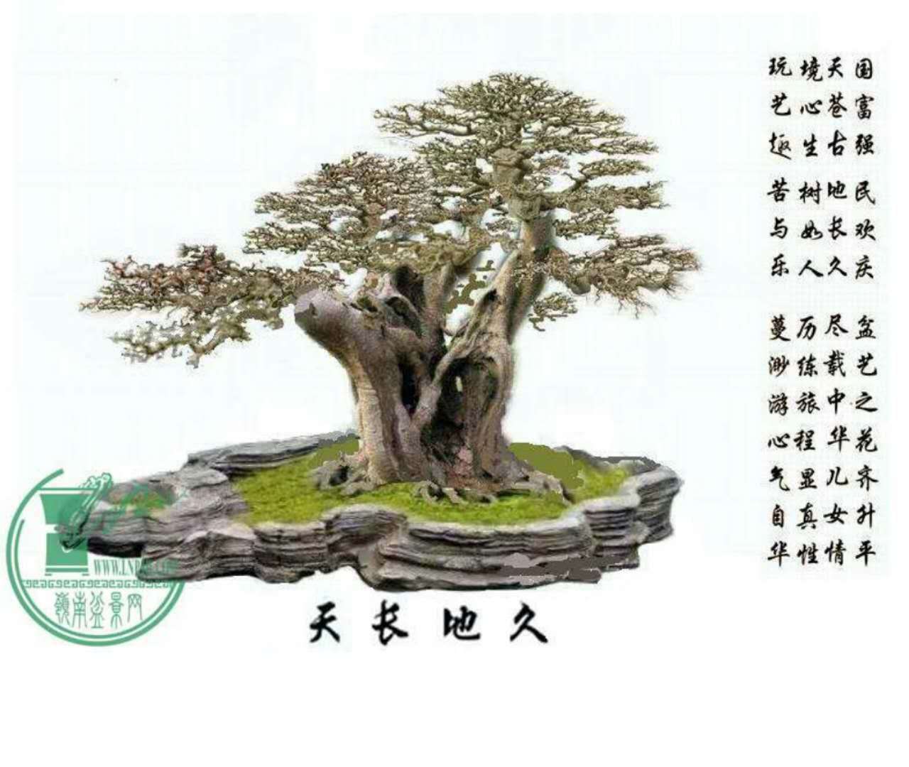 mmexport1515911851981.jpg