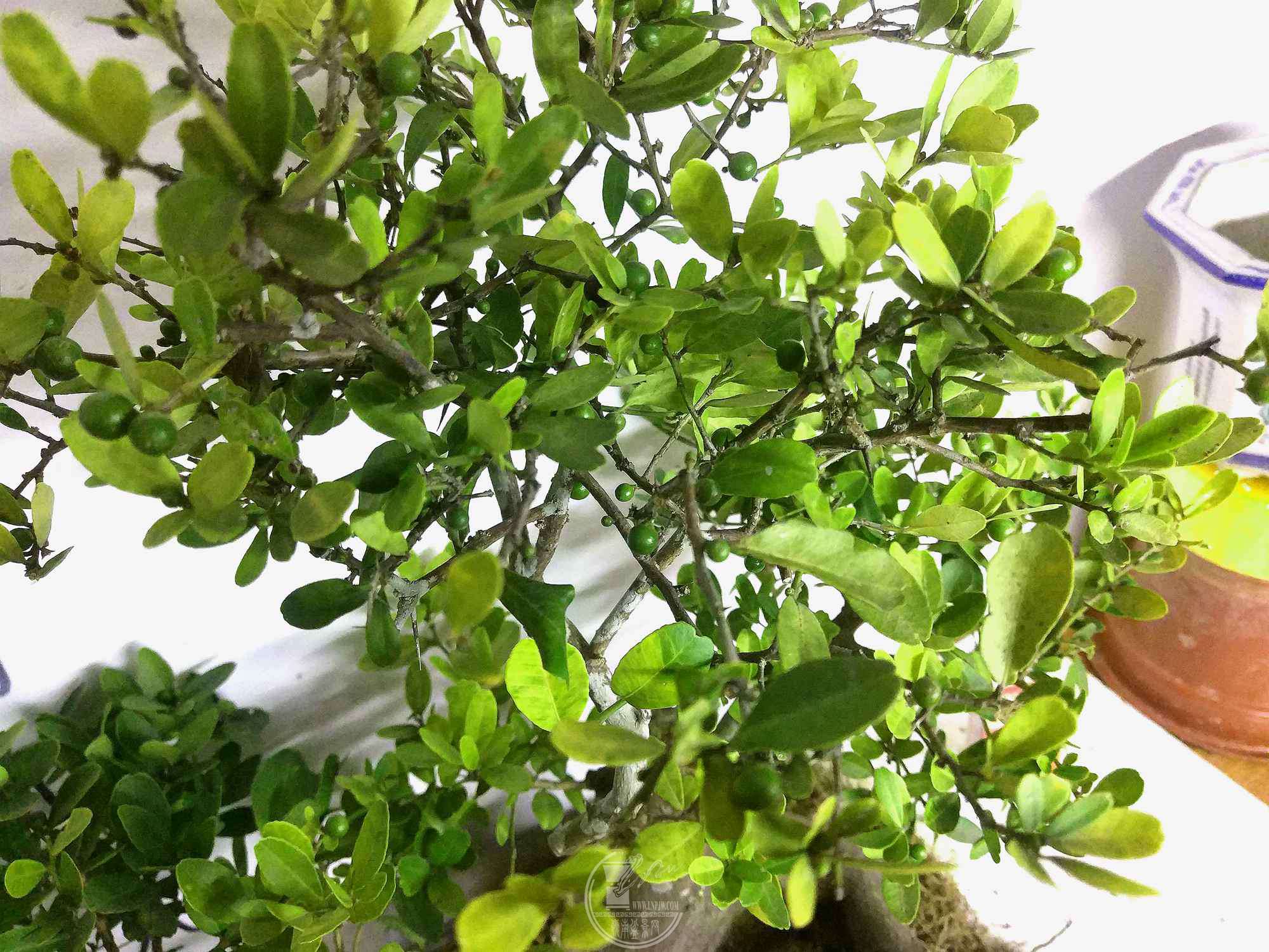 IMG_20180116_223415.jpg