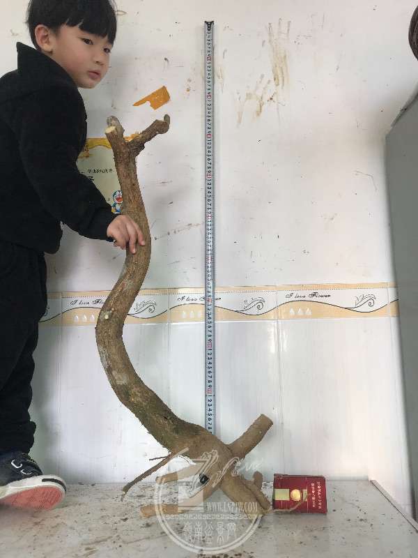 921147