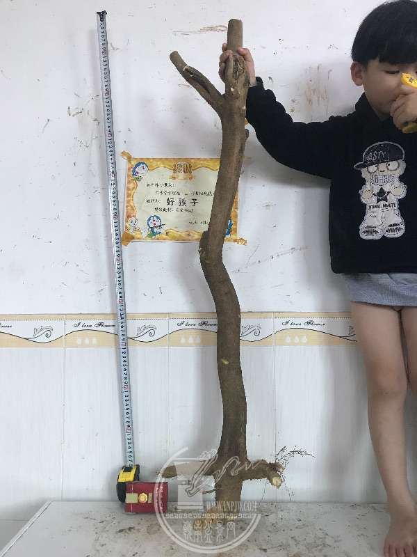 921703
