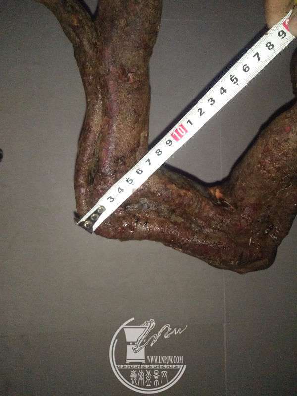 921807