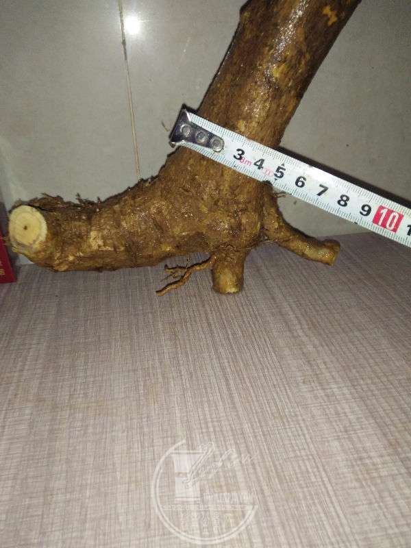 922206