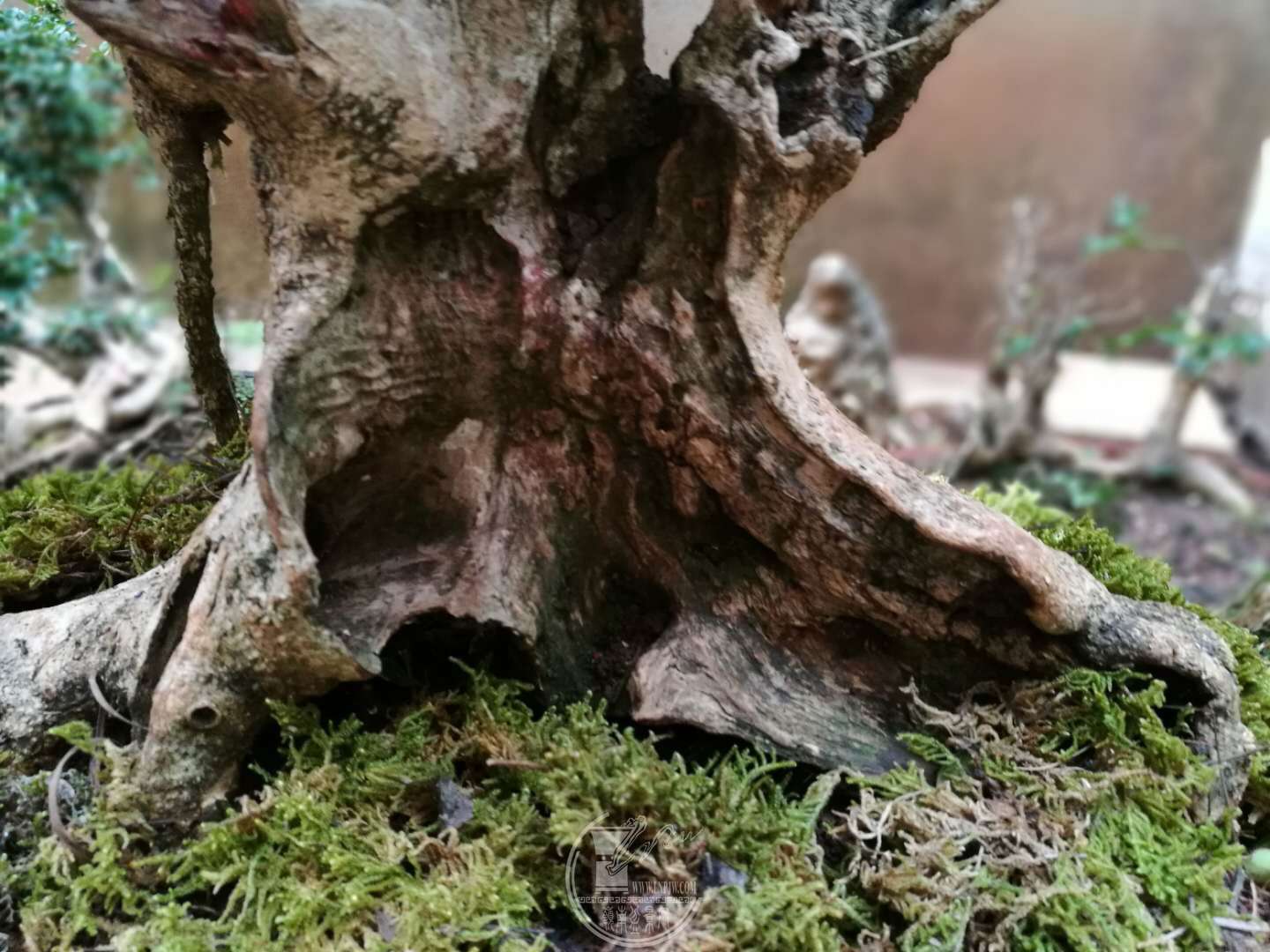 ΢ͼƬ_20180202094505.jpg