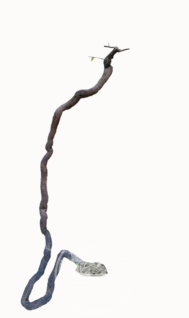 ͼ.png