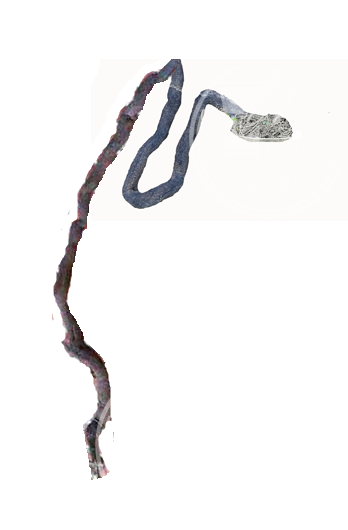 003158ybcdsdzg4g3bkjdo.png.thumb.jpg