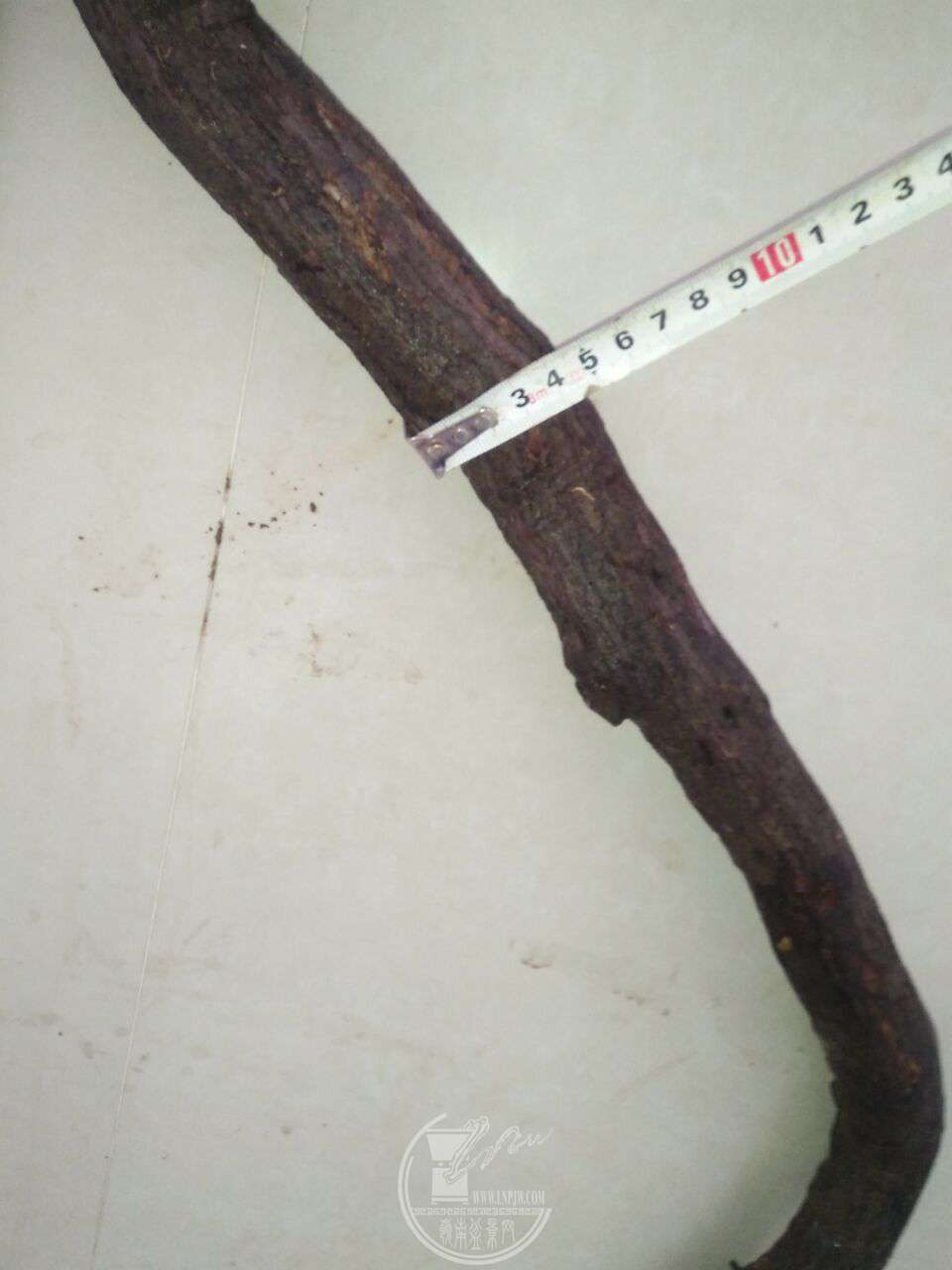 QQͼƬ20180303214041.jpg