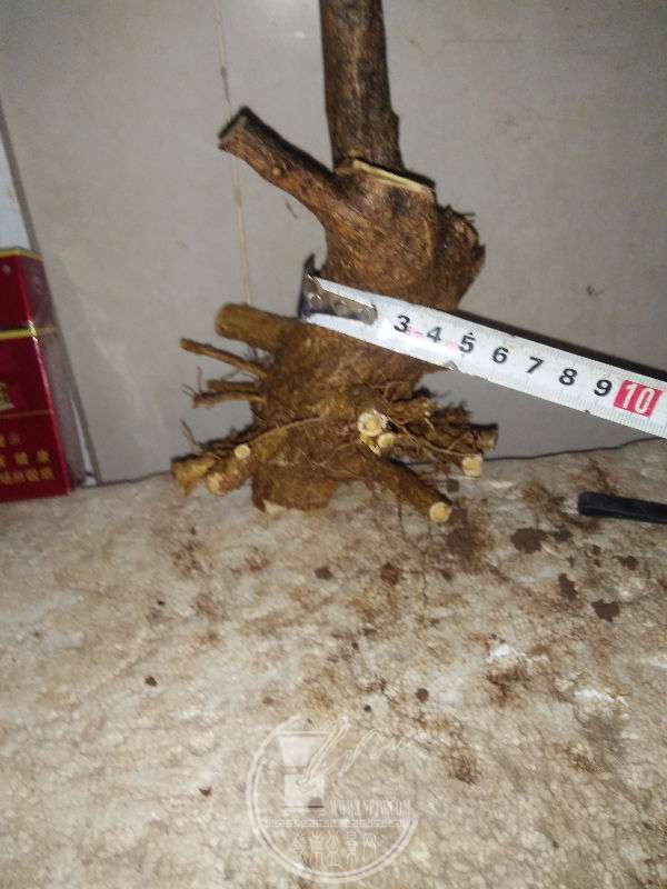 925916
