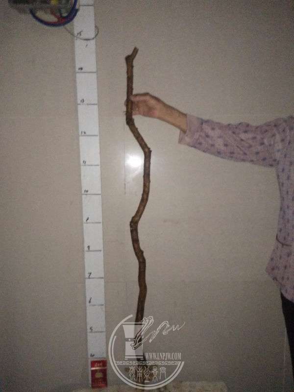 925917