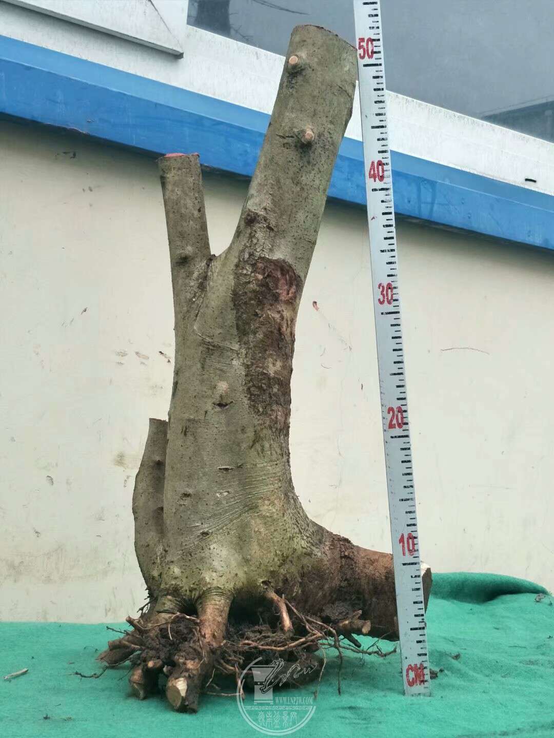 1520249172082.jpeg