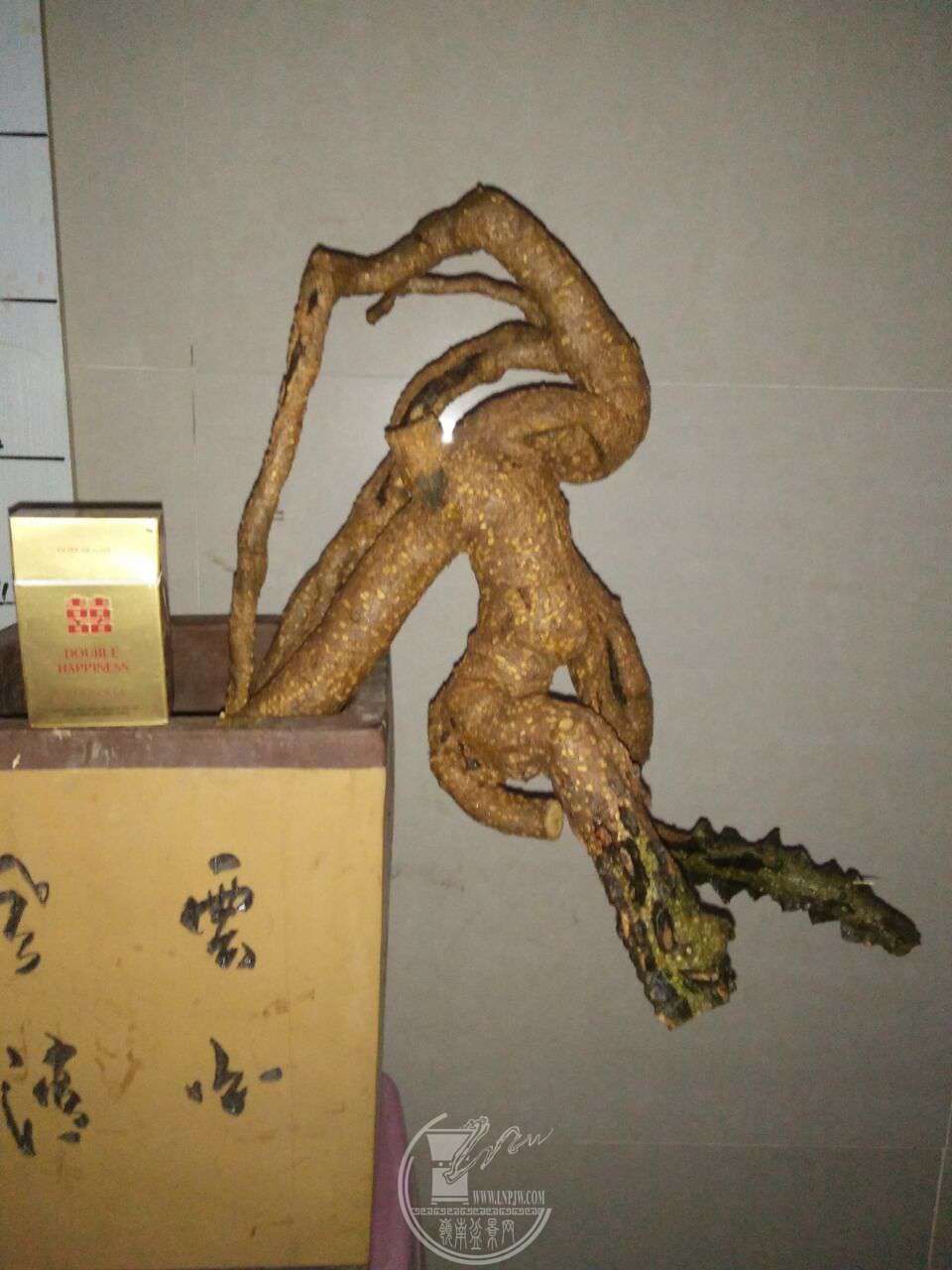 QQͼƬ20180305195545.jpg
