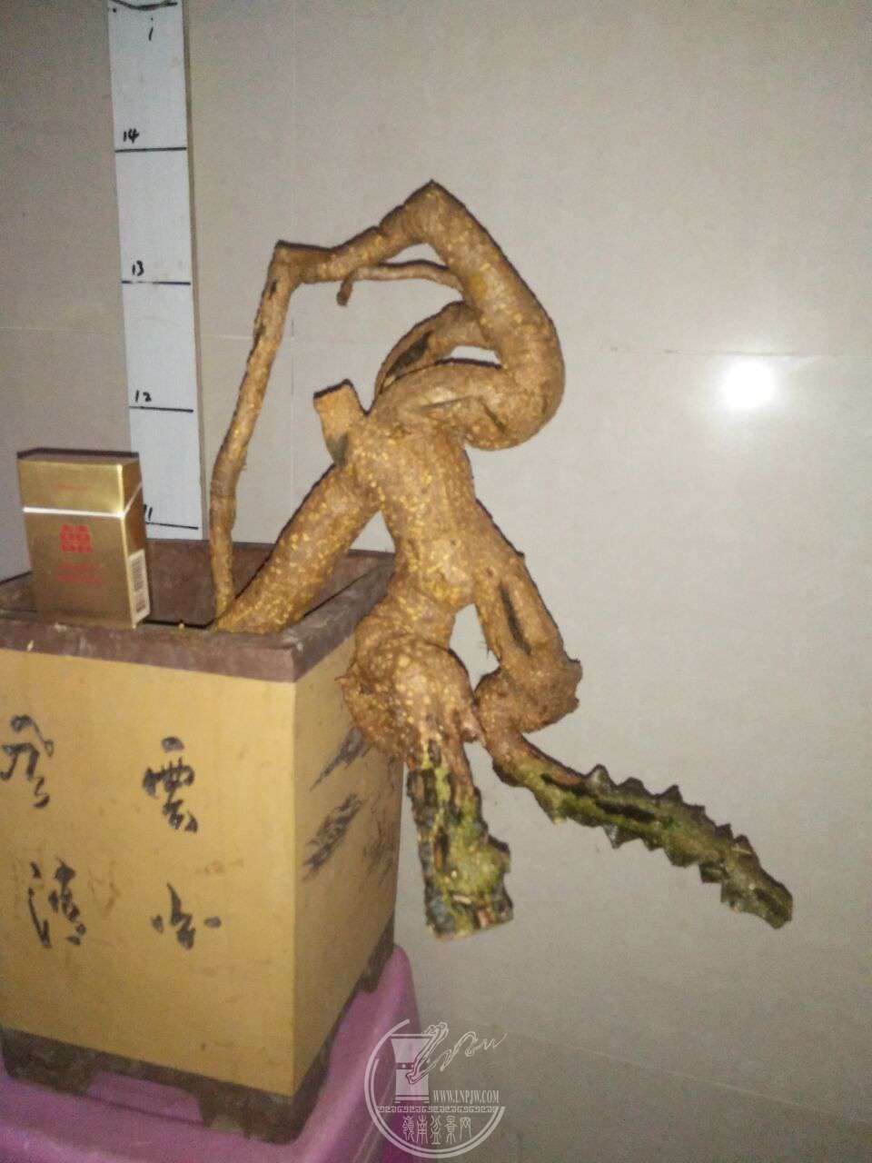 QQͼƬ20180305195553.jpg