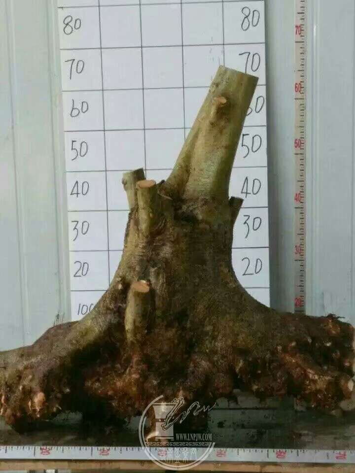 1520301286875.jpeg