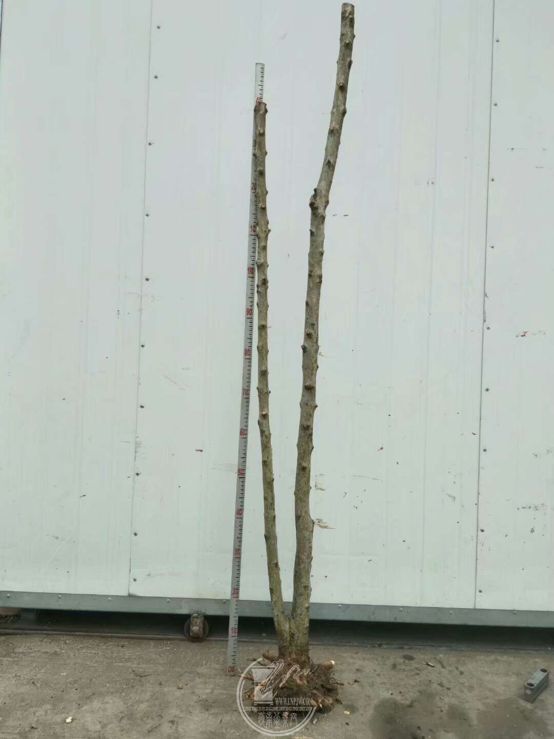 1520341165102.jpeg