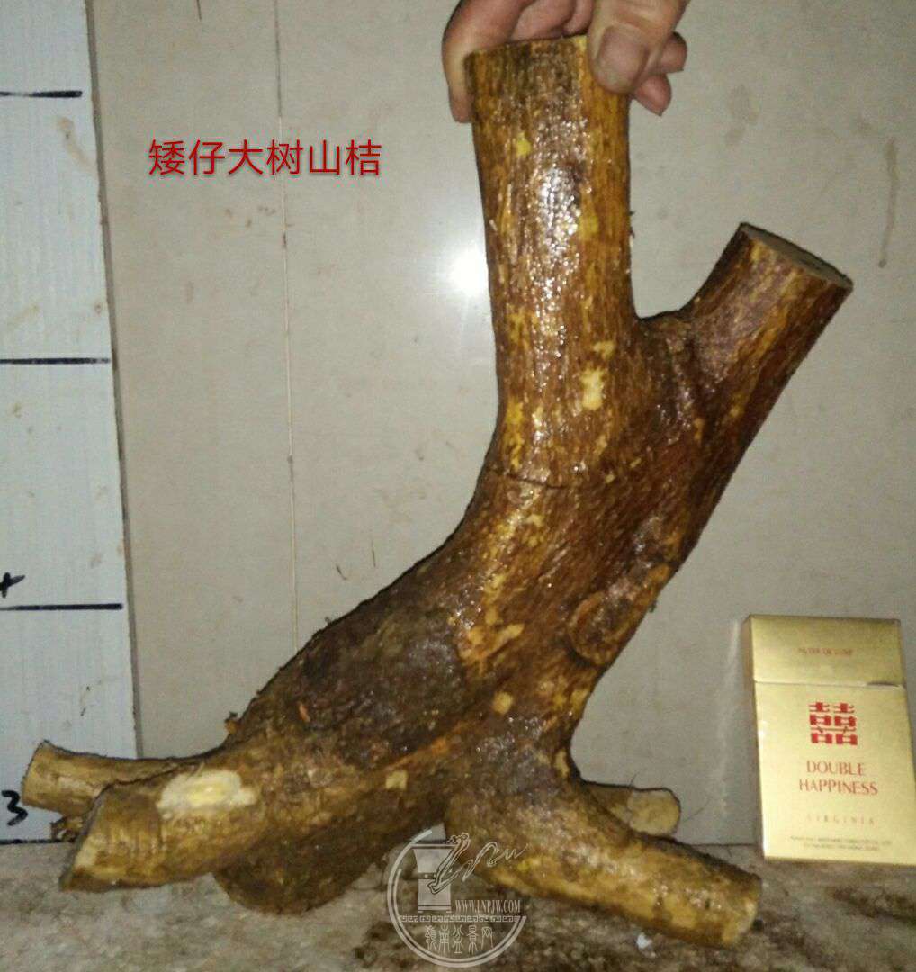 QQͼƬ20180307211449.jpg