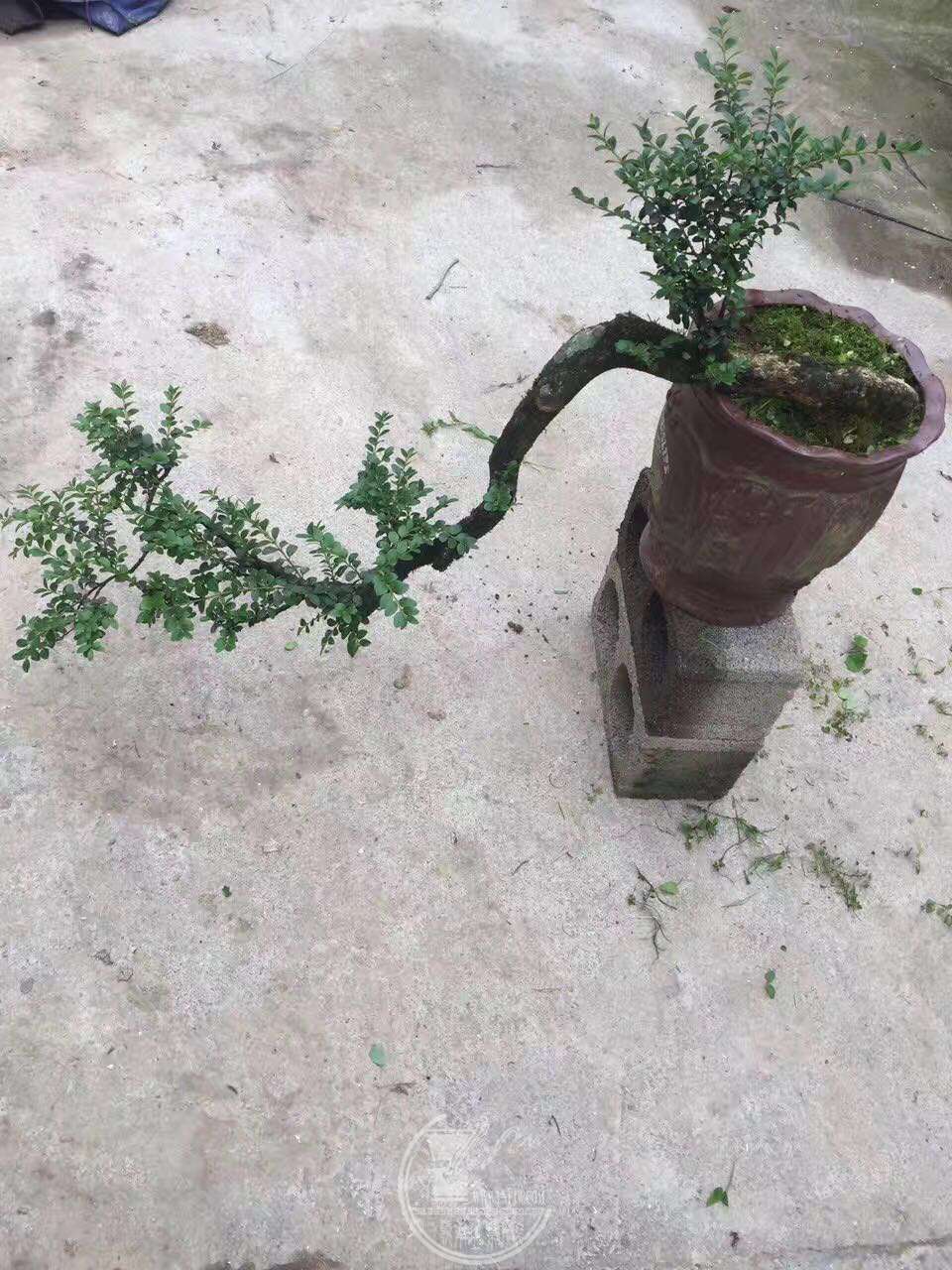 22.jpg
