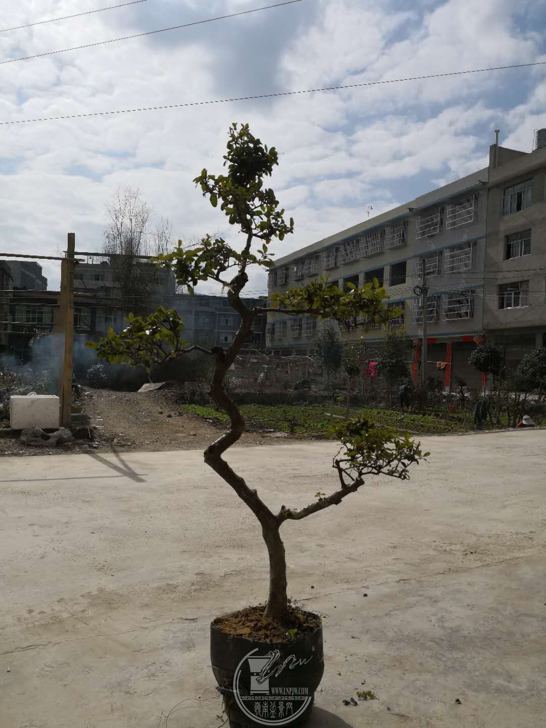 14.jpg