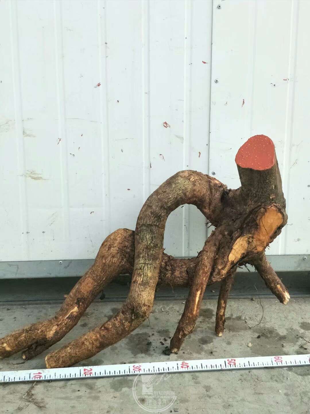 1520659536106.jpeg
