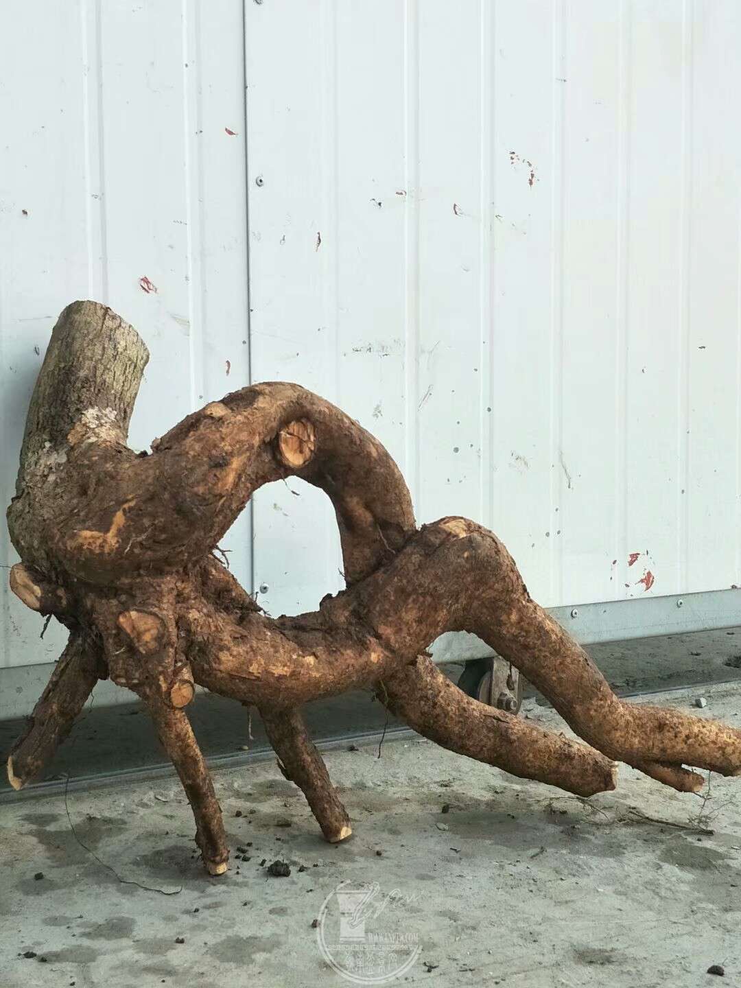 1520659521465.jpeg