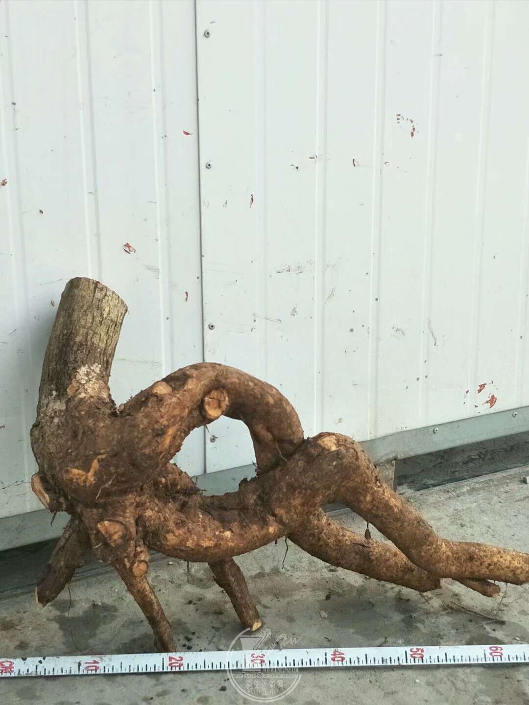 1520659527040.jpeg