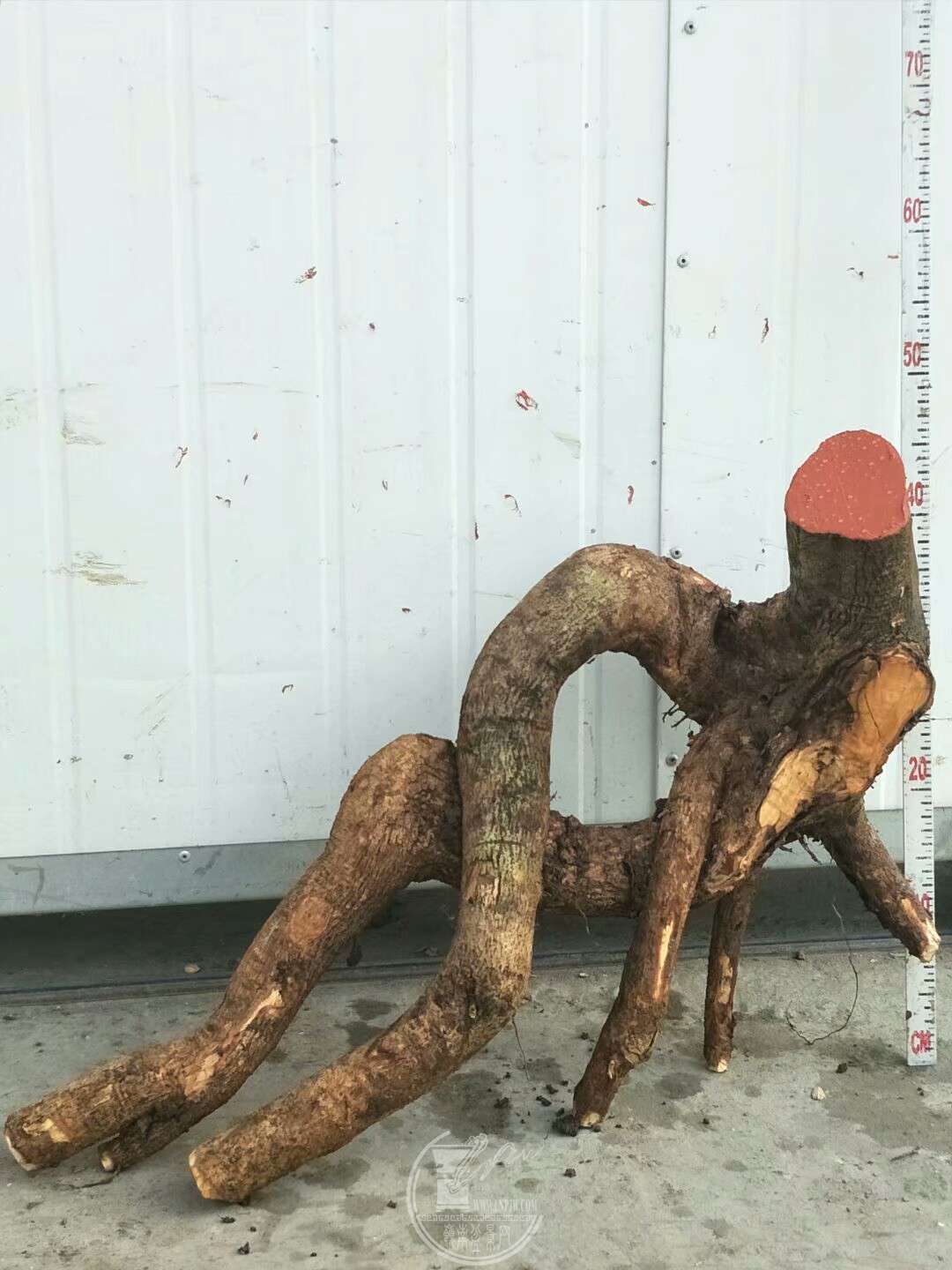 1520659532643.jpeg