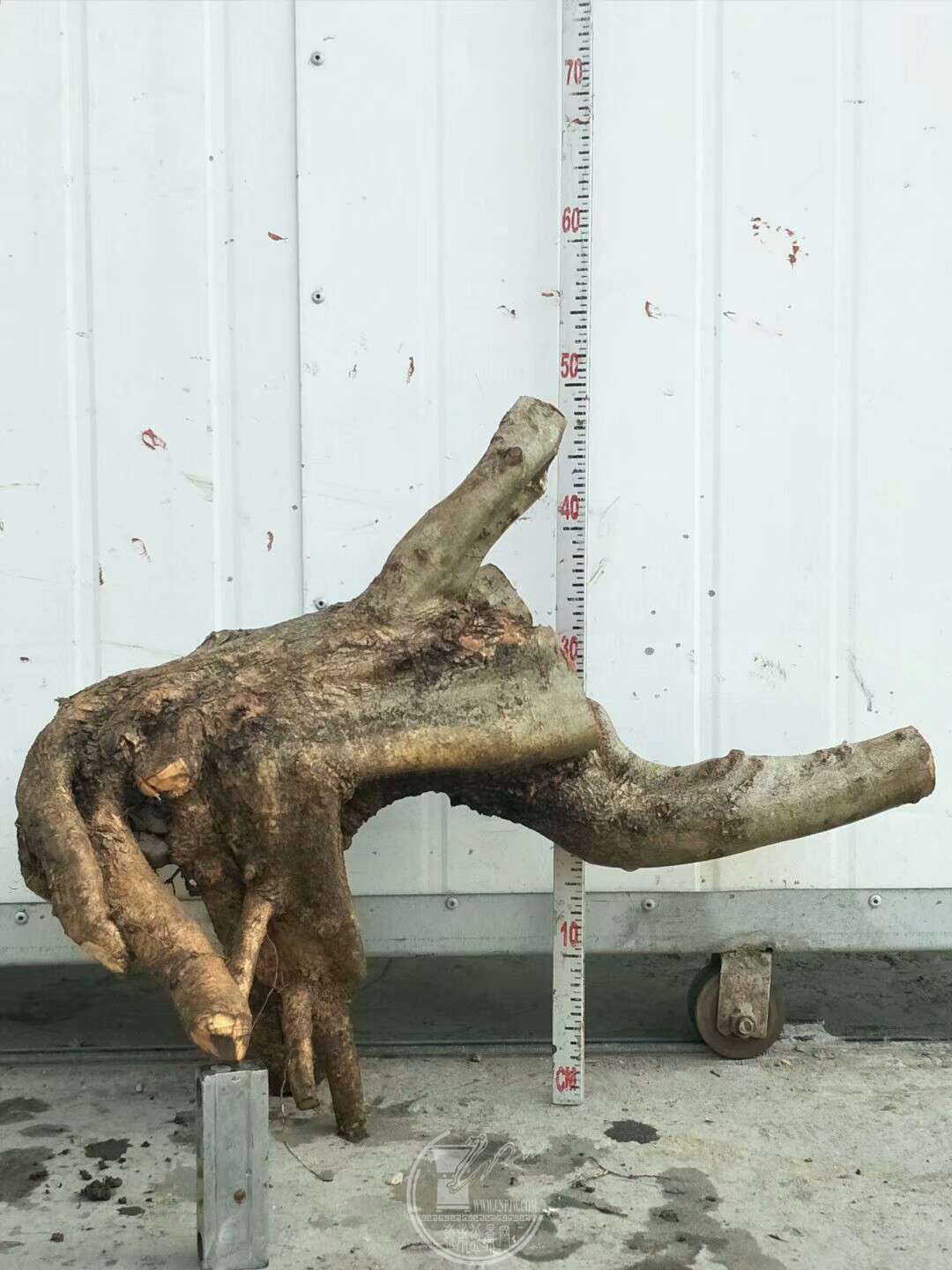 1520659565757.jpeg