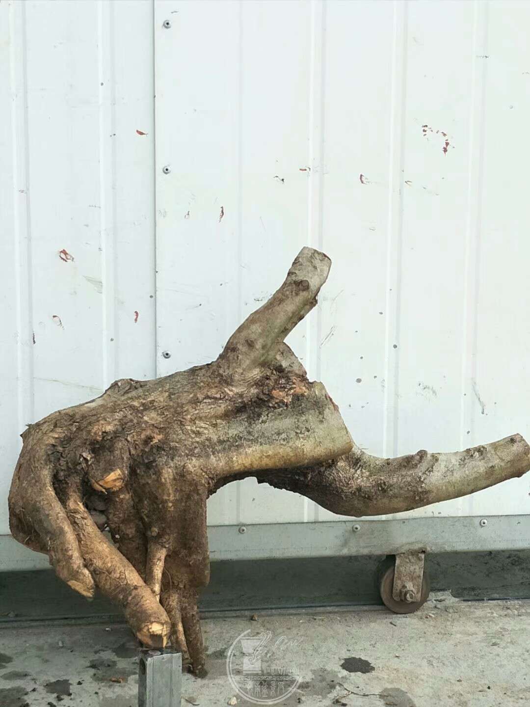 1520659568470.jpeg