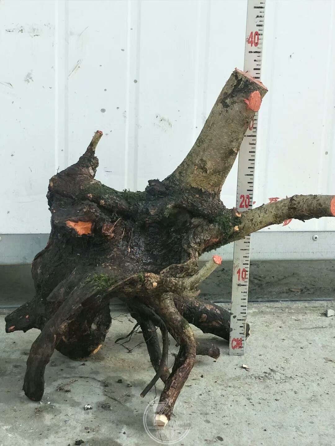 1520659540254.jpeg
