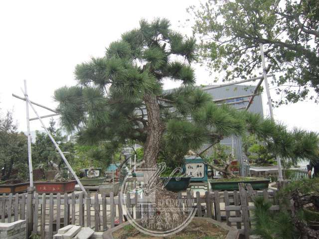 IMG_8472.JPG