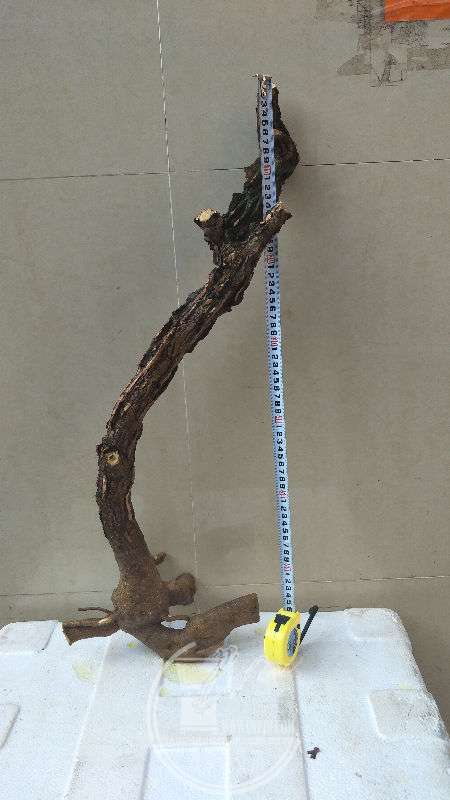 927163
