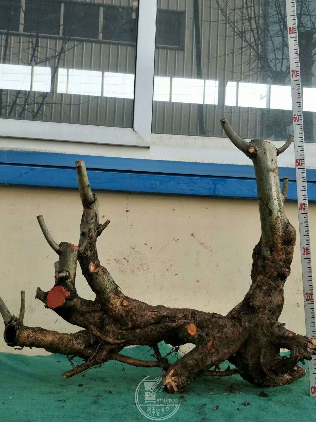 1520831474795.jpeg