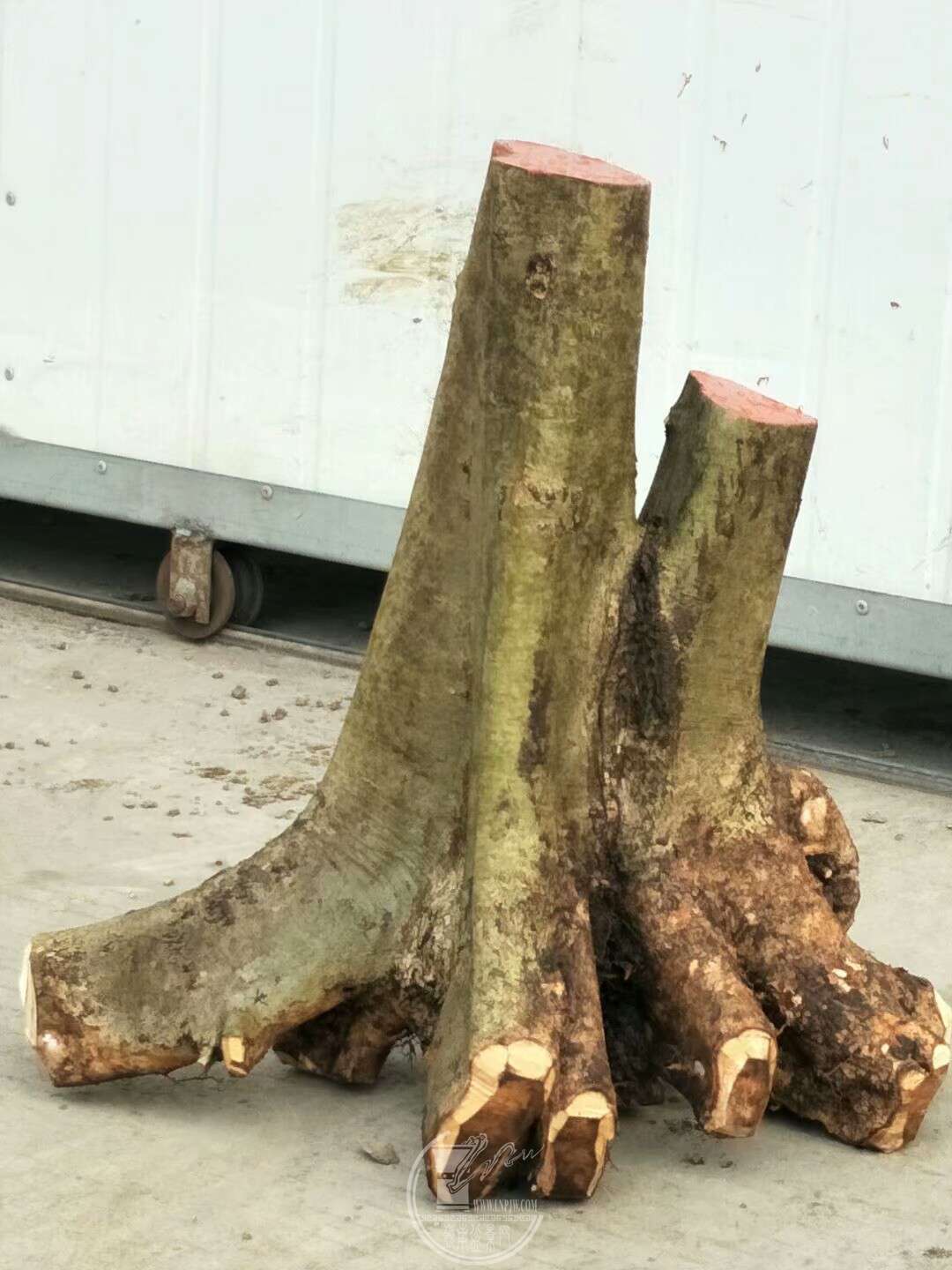 1520937232927.jpeg