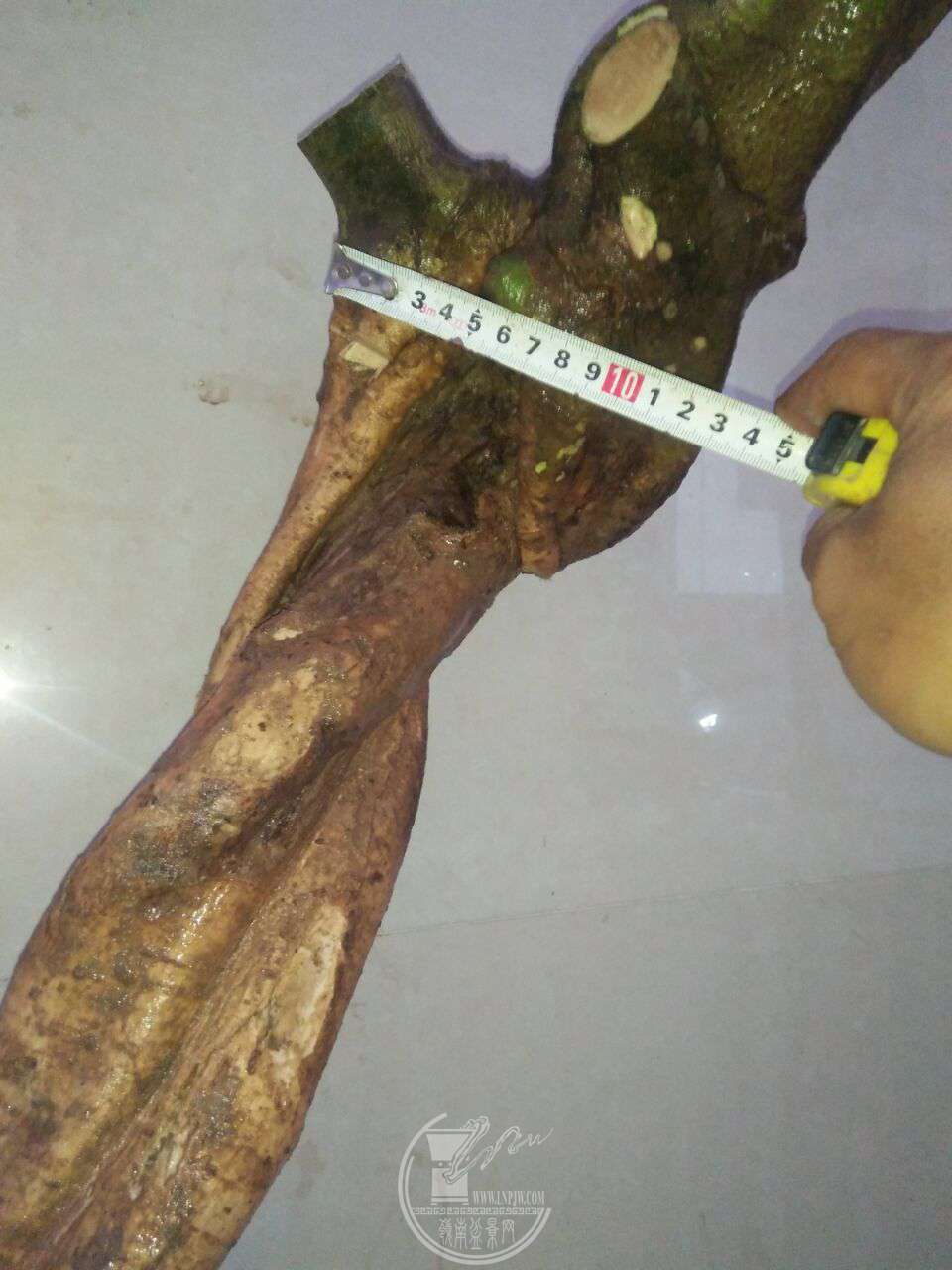 QQͼƬ20180313205739.jpg